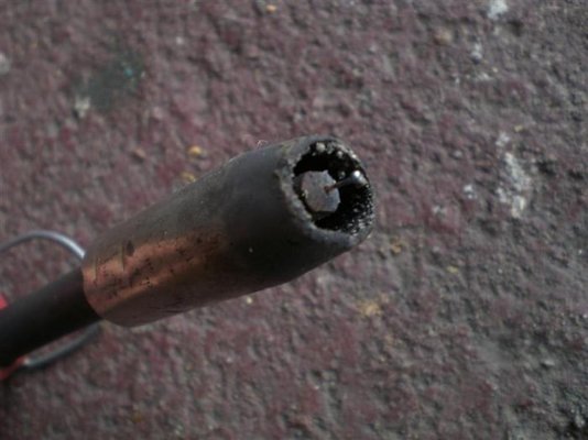 CIMG3105 (Medium).jpg