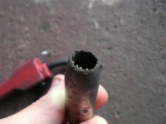 CIMG3107 (Medium).jpg