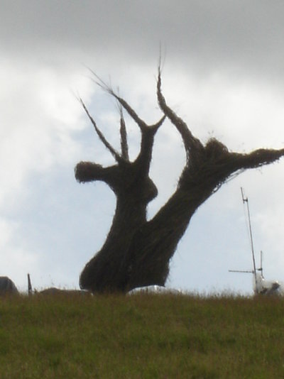 Wicker Tree 011.JPG