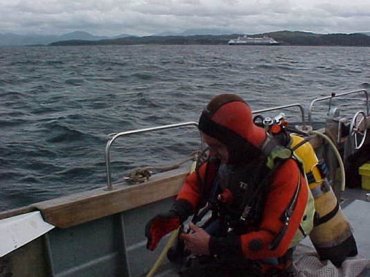 Dive pic.JPG