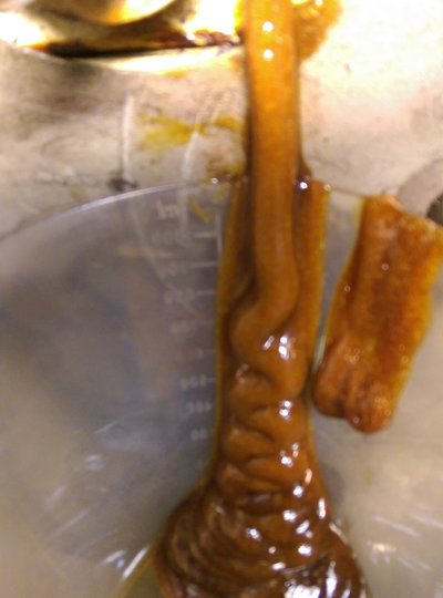 IMAG2446.jpg