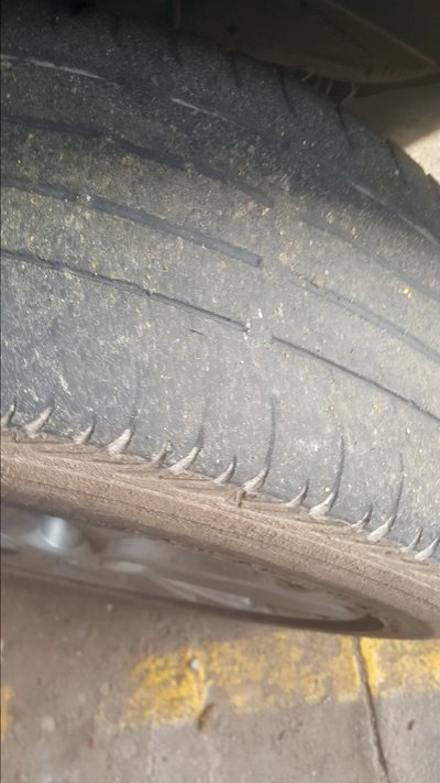 20170124_100333.jpg