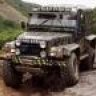 swampy395