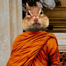 Chipmonk