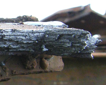 Laminar tear in ancient beam